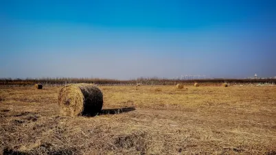 Kakadu Casino Aip Soghluaiste